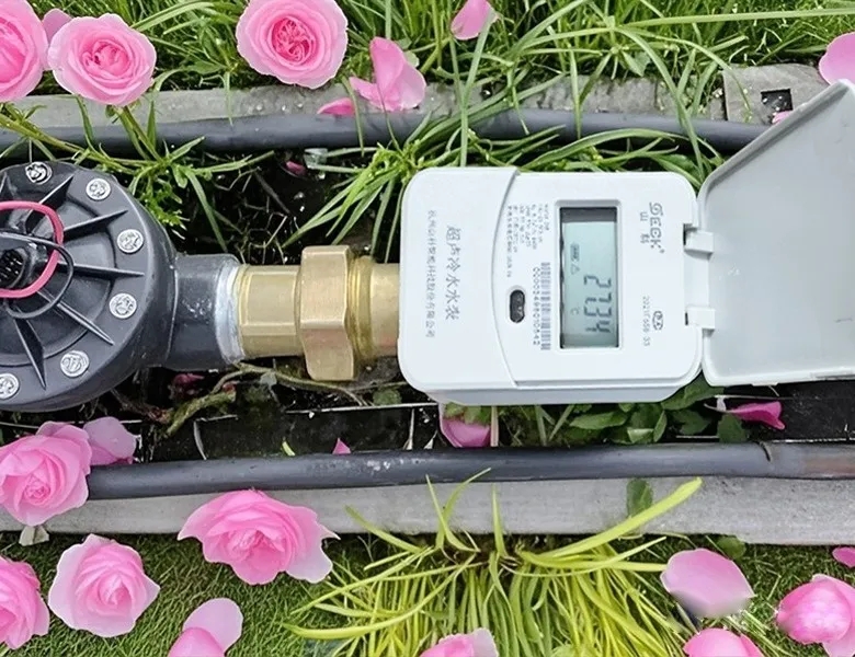 杭州“頂流”驚艷全國，山科如何守護(hù)城市“空中花廊”