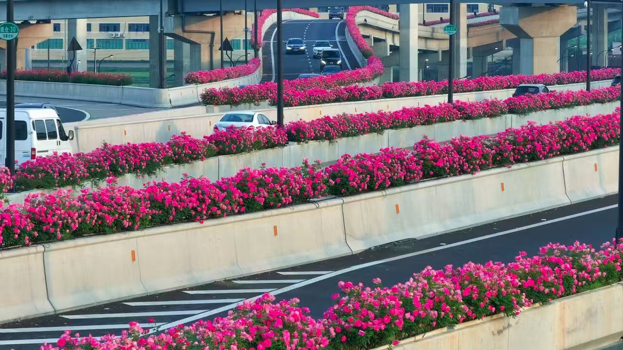 1afd8a65420e02f85fa1bbcc6357d39